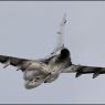 IMG_8018xx