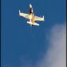 IMG_8207vxx