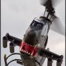 IMG_8302vxx