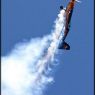 IMG_8559vxx