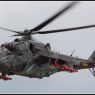 IMG_0407