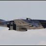 IMG_8450