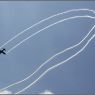 IMG_7950
