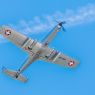 18czerwiec_aviaticka pout_3043