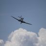 TVP_2923