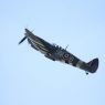TVP_2981