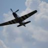 TVP_3276