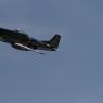 TVP_3319