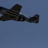 TVP_3321