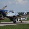 TVP_3384