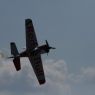 TVP_3431
