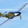 AVIATP 2019 1463