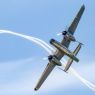 AVIATP 2019 667