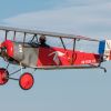 Foto_Petr_Kolmann_Letka_AP_4