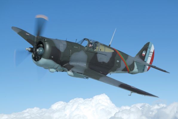 hawk75